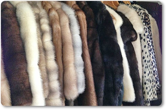 �є甃��E���쌧�ō�������E���z����Ȃ�R�R�������I